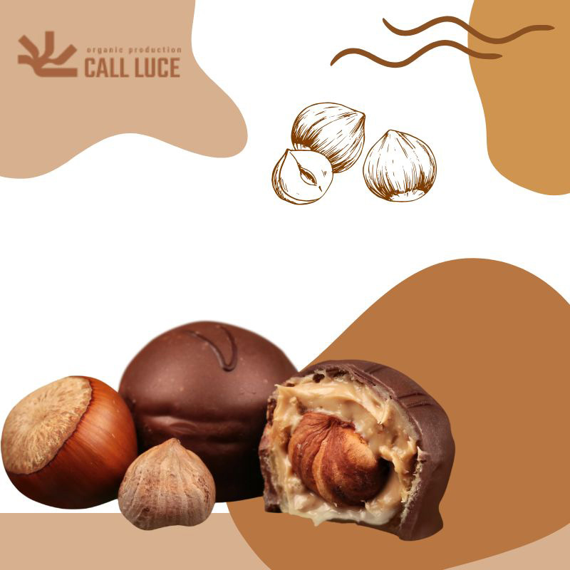 فندق برای چی خوبه ؟