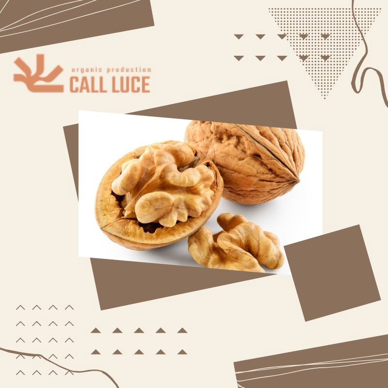 کالری گردو چقدر است؟