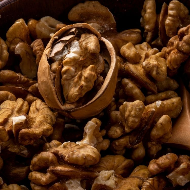 خواص گردو برای کبد چرب